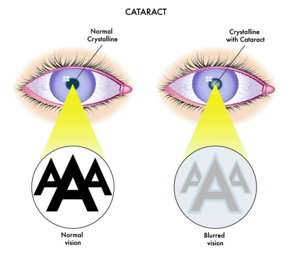 timg (2).jpg timg (2).jpg